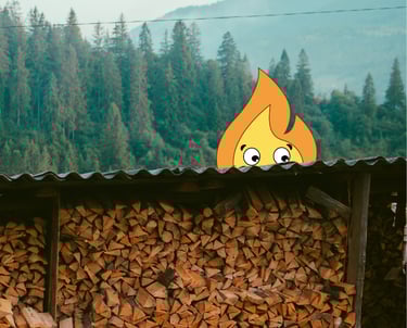 Maxima flamme de MaxThomasBois livre partout en France du Bois de chauffage et en Bourgogne