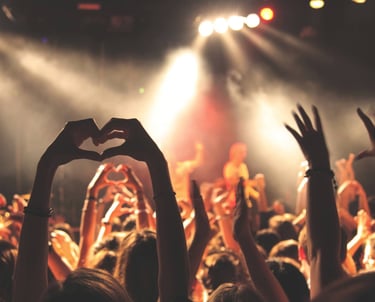 Fans at a music concert