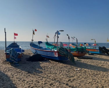 Kelionės į Indiją Travel India Mararikulam