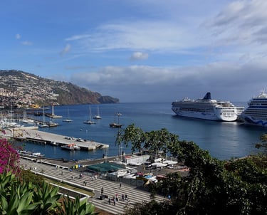 Funchal Port with water and cruise ships in distance