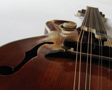 close up of a mandolin