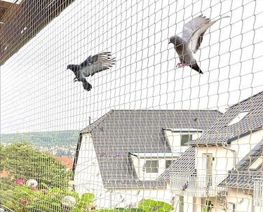 Instalacia zabran proti holubom