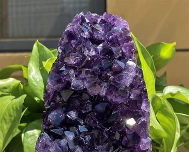 Cuarzo Amatista Amatista Propiedades Cuarzo de Amatista precio Amatistas Piedra Amatista Beneficios