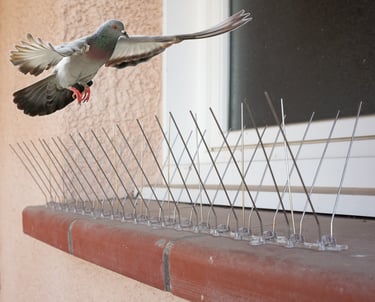 société anti-nuisible valence