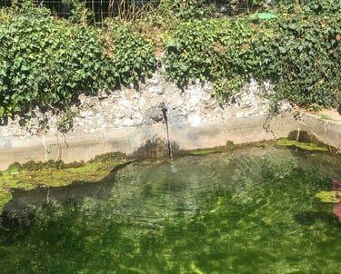 fontaine avec eau qui coule