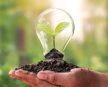 a person holding a light bulb in soil in their hands