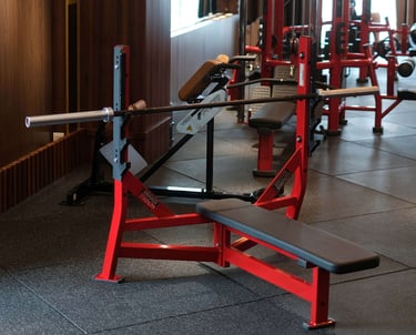 Flat Chest Press Fitzone Medan