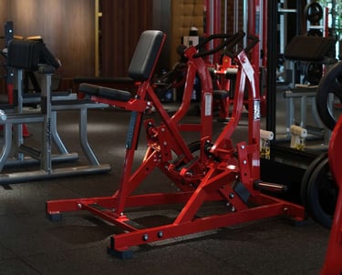   ISO Lateral Row Fitzone Medan