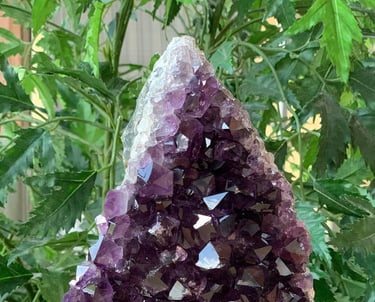 Cuarzo Amatista Amatista Propiedades Cuarzo de Amatista precio Amatistas Piedra Amatista Beneficios