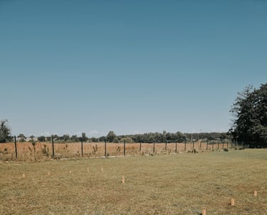 TOŠIS žaidimų nuoma šventėms Klaipėdoje