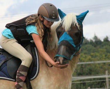 Mädchen sitzt auf einem Haflinger Pferd und gibt ihm ein Leckerli