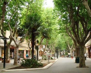 Viale dei Platani, Bellaria, vacanze al mare, offerte hotel, last minute bellaria