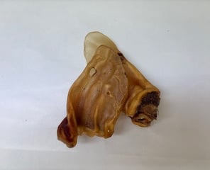 Zwei Rinderohren