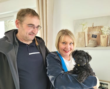 Virgule et sa famille