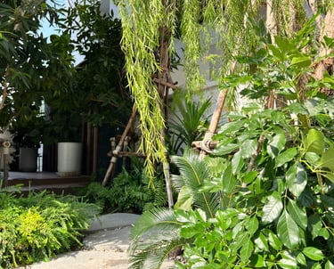 สนามหน้าบ้านตกแต่งด้วยไม้ดอกเขตร้อน