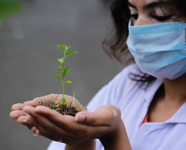 Janvriksha - Social science research and analytics services for evidence-based decision-making