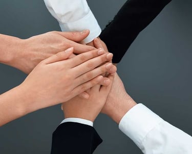 Acerca de Cepra - Experiencia