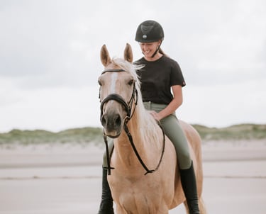 couple cavalier cheval la plage