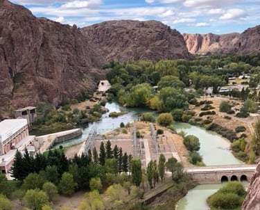 dique florentino ameghino