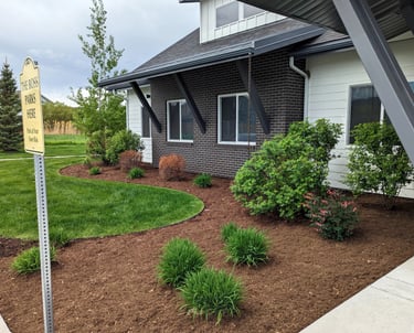 landscaping in front of a commercial building
