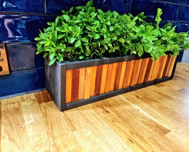 Herb planter DECORATIVE PLANTER POT HERB CATCUS CACTI SUCCULENT MINI GARDEN PLAN POT TIDY ORGANISER DESIGNER POT NARROW LONG