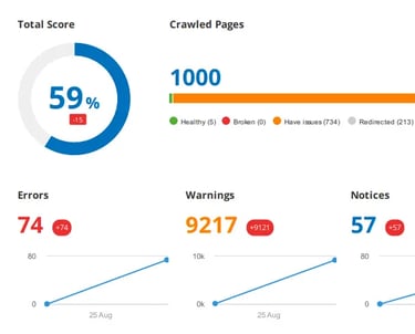 SEO audit showing health score, errors, and warnings