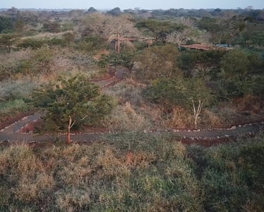 Self catering safari tent accommodation sites at Albizia tented camp