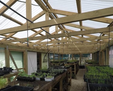 Greenhouse construction CHR Builders