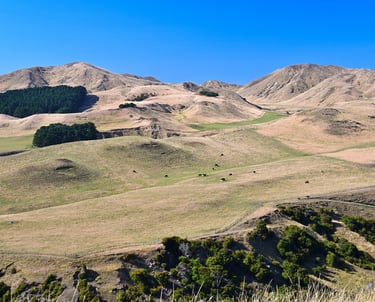 cape kidnappers napier new zealand hills with blue skys
