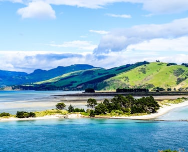 dunedin new zealand shoreline with blue sandy waters