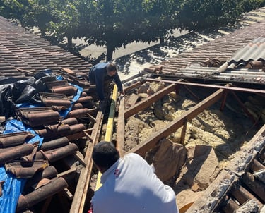 Réfection de noue - charpente