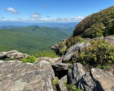 View from Craggy Pinnacle Summer 2024