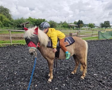 Kleines Kind auf kleinem Pony