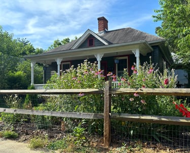 Mallow Rose Cottage Midsummer 2024