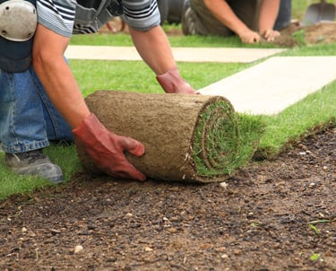 new sod or grass being installed