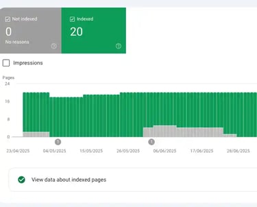 Google Search Console report showing 20 indexed pages