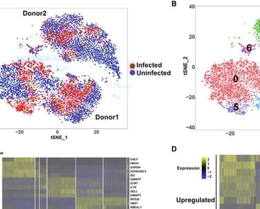 single cell bioinformatica mexico