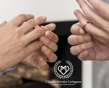 abogados union marital de hecho pereira