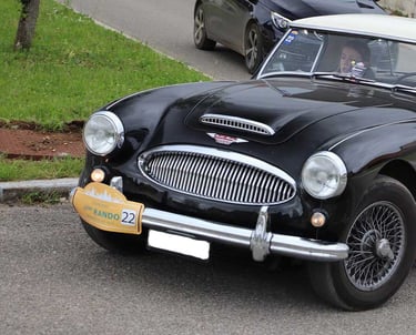 Austin Healey orientation