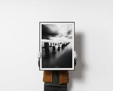 Cadre Nielsen Alpha tirage hahnemülhe