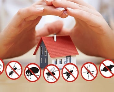 رقم شركة مكافحه حشرات