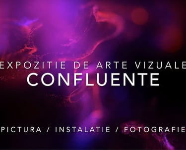 Promo video for a two Man show featuring photographer Susanna Patras and painter Ofelia Hutul