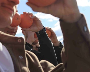 zmones ziuri i toli su apelsinais prie veido