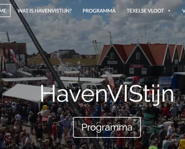 De website van het HavenVIStijn