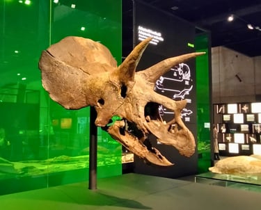 a dinosaur skullet with a skullet on it at cosmocaixa museum