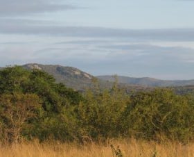 Albizia self catering tented accommodation vista in Hluhluwe