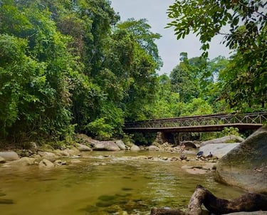 natural river water burmese pool taiping