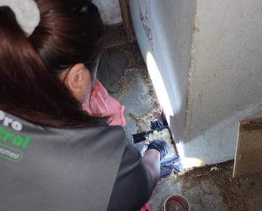 Pest Control technician servicing termites baiting station