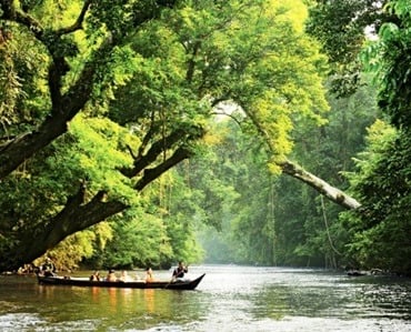 Kuala Tahan & Royal Belum national parks tour & travel packages. Best holiday & vacation from dhkt