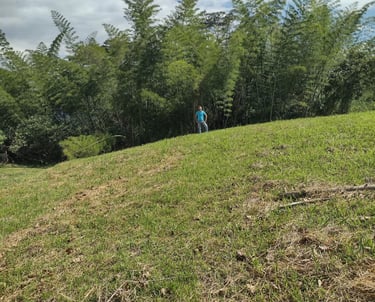 topografía inclinación terreno lote en venta en nocaima